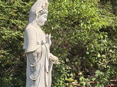-四门塔风景区