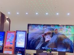 -华美国际影城(旧宫永辉店)