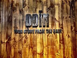 -ODIN 奥丁形象设计 