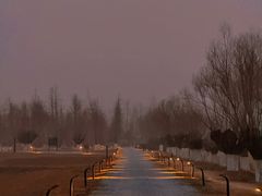 -汉长安城未央宫国家考古遗址公园