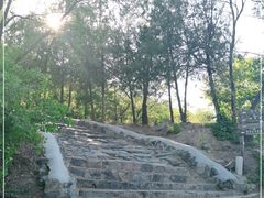 -阳台山自然风景区