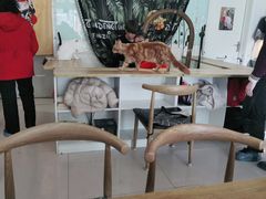 -平行世界·猫咖(首经贸店)