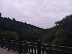 -九龙潭景区
