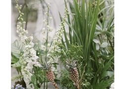 -竹吟山房