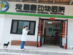 -宠福鑫动物医院(城北分院)