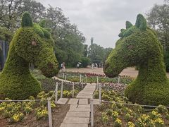 -沈阳植物园