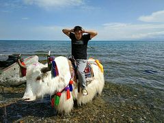 -青海湖国家重点风景名胜区
