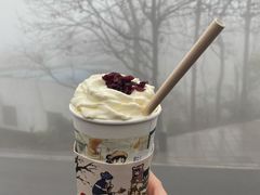 -茶颜悦色(岳麓山顶店)