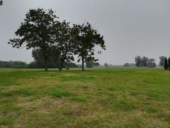 -汉长安城未央宫国家考古遗址公园