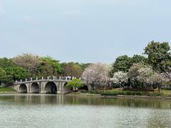 -顺峰山公园