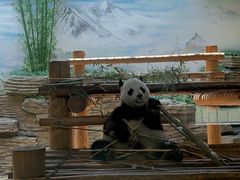 -西霞口神雕山野生动物世界