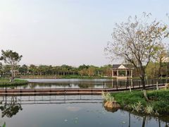 -映月湖公园