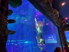 -沈阳海洋探索中心