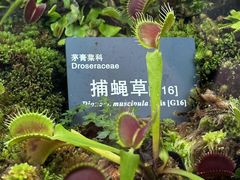 -国家植物园南园