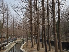 -白水寺森林公园