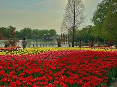 -石家庄市植物园