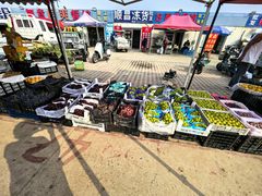 -南戴河海滨市场