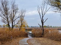 -野鸭湖国家湿地公园