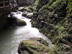 -梦幻奥陶纪景区