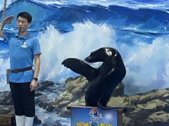 -左海海底世界