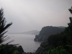 神龟寻子-大连金石滩滨海国家地质公园
