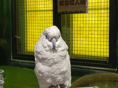 -海合安武汉极地海洋公园
