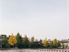 -大雁塔北广场音乐喷泉