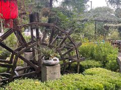 -青城甲(青城山店)