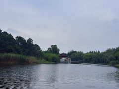 -南海禅寺