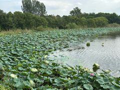 -上海市保健医疗中心