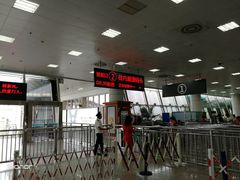 -国际邮轮中心码头(厦鼓码头)