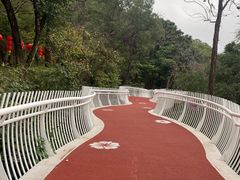 -金鸡山公园