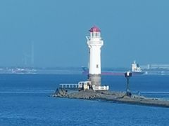 -上海吴淞炮台湾国家湿地公园