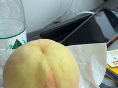 -老袁家蜜桃农场·阳山水蜜桃