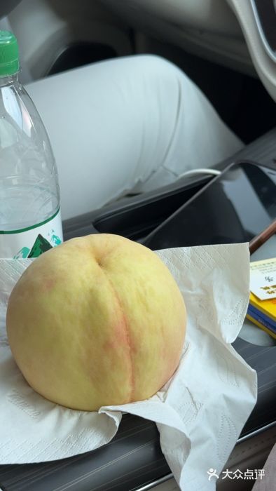 老袁家蜜桃农场·阳山水蜜桃图片