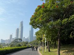 -大梅沙海滨公园