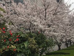 -上海外国语大学(虹口校区)