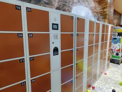 -卡通尼·Safari非洲探索乐园·生日会(金桥国际商业广场店)