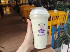 -一只酸奶牛(春熙路店)