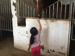 -月河湾马术俱乐部(朝阳店)