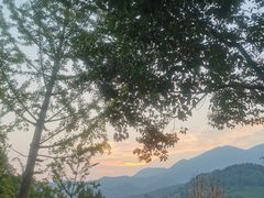 -大余丫山旅游度假区