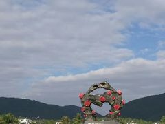 -亚龙湾国际玫瑰谷