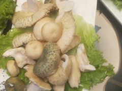 -野菌皇海景野生菌火锅(滨海大道店)