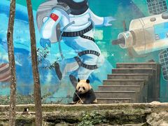 -中国大熊猫保护研究中心雅安碧峰峡基地