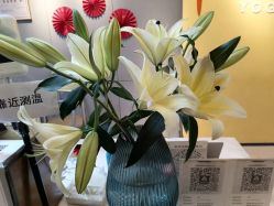 -FineYoga梵音瑜伽·普拉提