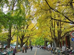 -四川大学(华西校区)