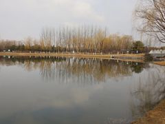 -大兴滨河森林公园