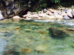 -祁门牯牛降观音堂风景区