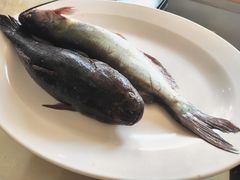 -老刘生态大鱼坊铁锅炖鱼(赛马场店)