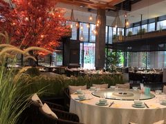 -拈菜(观音桥阳光世纪店)
